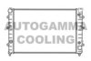 AUTOGAMMA 102893 Radiator, engine cooling